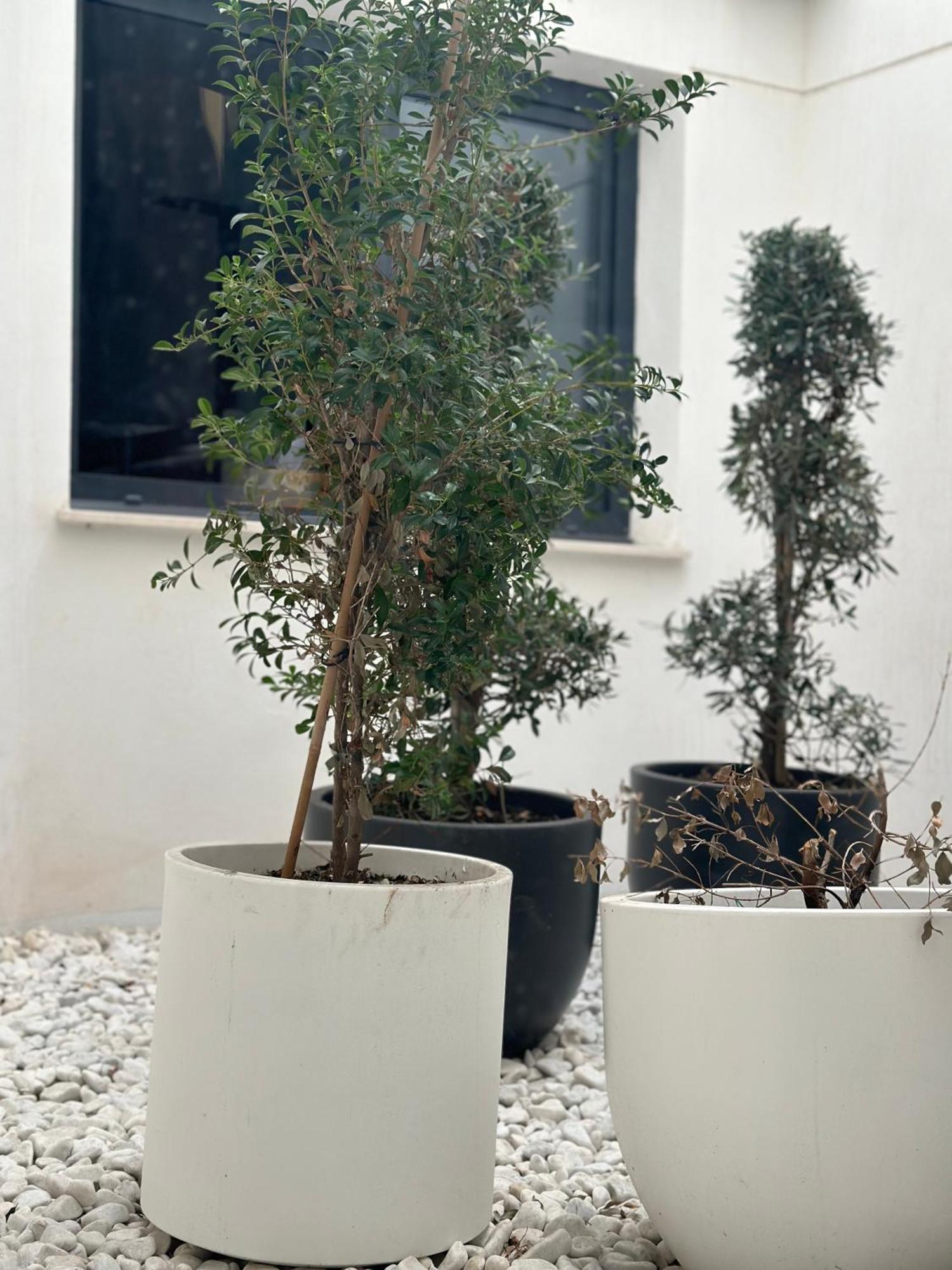Hostel Alicante A-Cero Living Exterior foto
